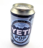 Cachette en canette YETI – coffre-fort discret en forme de canette pour ranger argent et petits objets